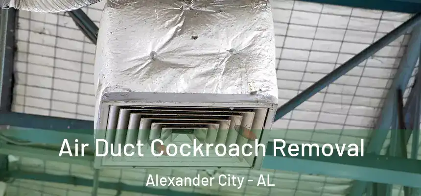  Air Duct Cockroach Removal Alexander City - AL