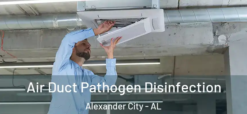  Air Duct Pathogen Disinfection Alexander City - AL