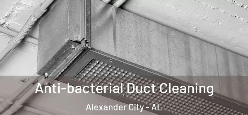 Anti-bacterial Duct Cleaning Alexander City - AL