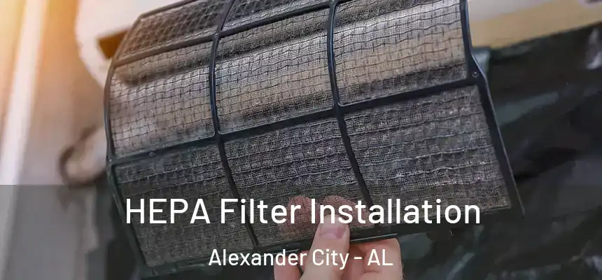  HEPA Filter Installation Alexander City - AL