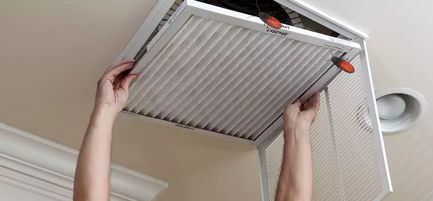 Preventive Cockroach-Proofing for Ducts in Alexander City