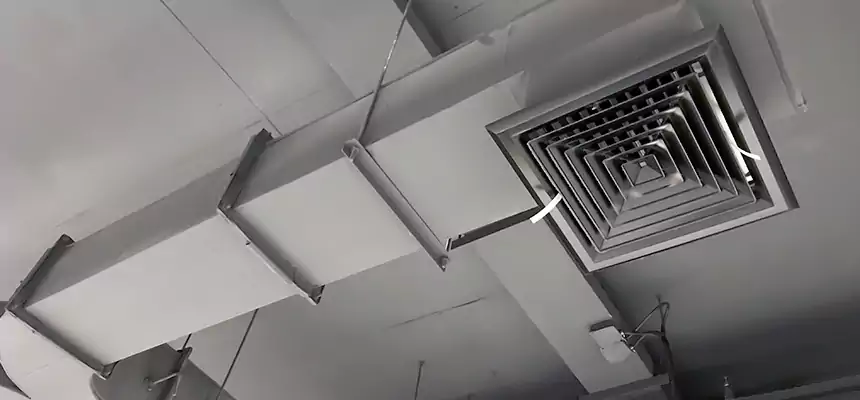 Restorative Allergy Relief Vent Cleaning – Coil, Blower & Housing Detail in Alexander City