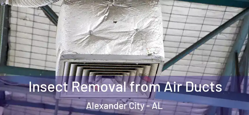 Insect Removal from Air Ducts Alexander City - AL