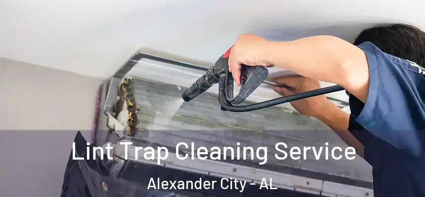 Lint Trap Cleaning Service Alexander City - AL