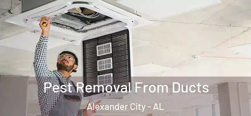  Pest Removal From Ducts Alexander City - AL