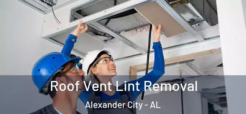  Roof Vent Lint Removal Alexander City - AL