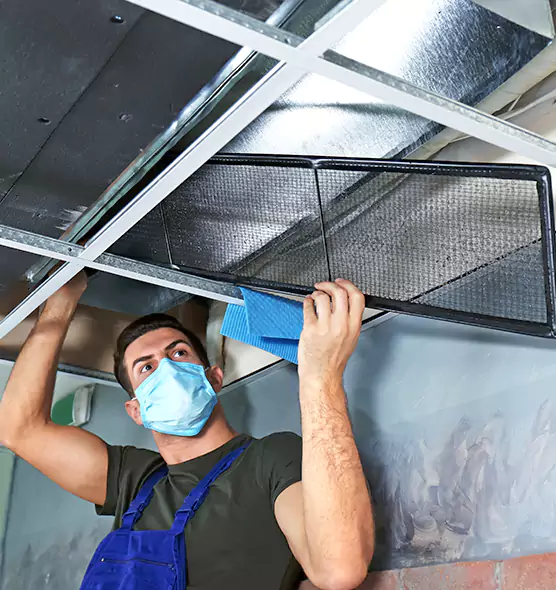 Professional Air Duct Pollen Cleaning in Alexander City, AL