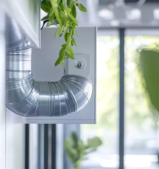 Professional Eco-Friendly Duct Cleaning Services in Alexander City, AL