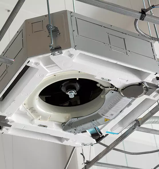 Professional Roof Vent Lint Removal Alexander City, AL