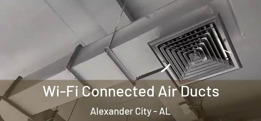 Wi-Fi Connected Air Ducts Alexander City - AL